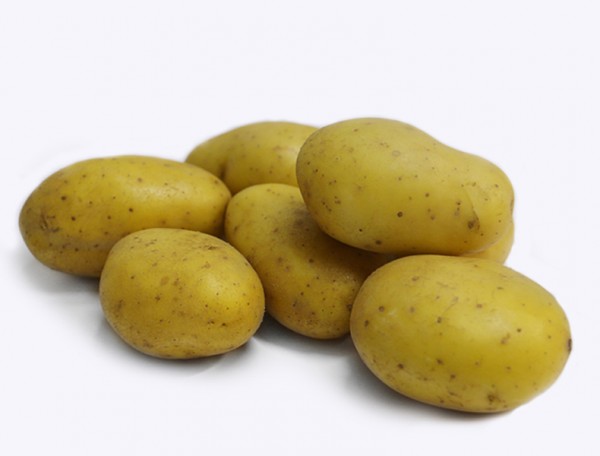 Bio Kartoffeln